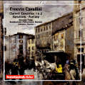 Ernesto Cavallini Works for Clarinet & Orchestra / cpo