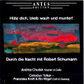 Hüte dich, bleib wach und munter!, Durch die Nacht mit Robert Schumann / Antes