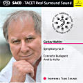 Gustav Mahler, Symphony no. 9 Gustav Mahler, Symphony no. 9