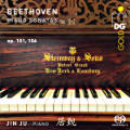 Ludwig van Beethoven, Piano Sonatas Vol. 2 Ludwig van Beethoven, Piano Sonatas Vol. 2