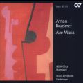 Anton Bruckner, Ave Maria / Carus