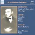 Great Pianists – Friedman Complete Recordings Vol. 1 / Naxos Great Pianists – Friedman Complete Recordings Vol. 1 / Naxos