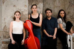 Malion Quartett, Foto: Villa Musica
