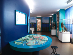 Museum für Natur und Umwelt, Foto: Theater Lübeck